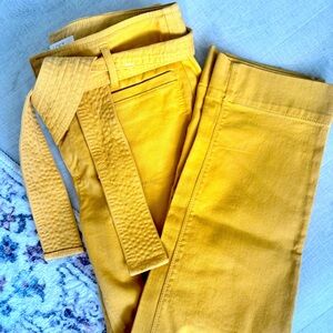 NWT Ann Taylor LOFT Paperbag pants